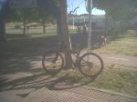 IMG-20140517-00140.jpg