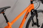 MYROON-LTD_orange1.jpg