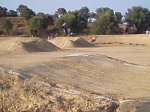 bmx-11.jpg