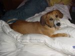fotos_gos_025.jpg