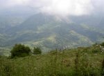 pict2230__large_.jpg