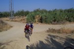 aljarafe100705_019.jpg
