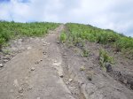 dsc02542.jpg