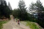 DSC01527.jpg