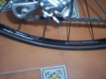 bianchi 006.jpg