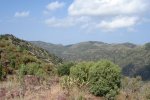DSC01788.JPG