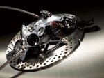 motov2fT.jpg
