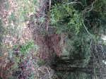 IMG_1702.JPG