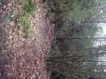 IMG_1704.JPG