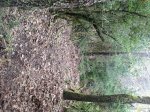 IMG_1705.JPG