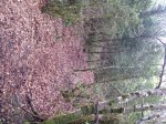 IMG_1710.JPG