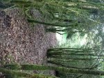 IMG_1712.JPG