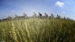 giro14st10_peloton.jpg