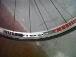 IMG-20130905-00070.jpg