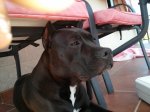 IMG_20130718_155439.jpg