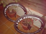20140514_212732.jpg