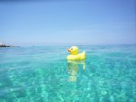 patito.jpg