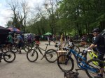 start-grizedale.jpeg