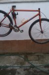 IMAG0826.jpg