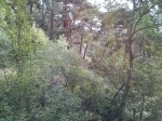 IMG_20140524_094803.jpg