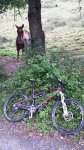 20140525_125908.jpg