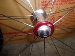 DSC00205web.jpg