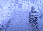 giro14st16-slush.jpg
