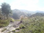 DSC00102.JPG