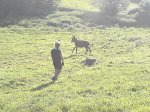 DSC00105.JPG