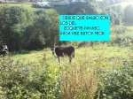 DSC00107.JPG