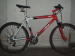 FOTOS BICI CORONAS 001.JPG