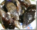 mejillones3.jpg