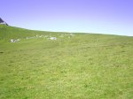PIC_0041.JPG