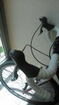 IMG-20140528-WA0024.jpg