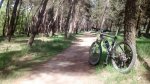 IMG-20140430-WA0007.jpg