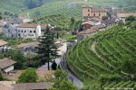 giro14st17-vineyards.jpg