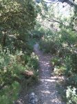 IMG_20140531_100346.jpg