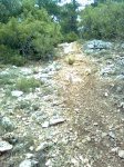 Imagen2974.jpg