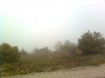Imagen2977.jpg