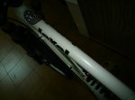 DSC_1306.jpg
