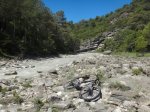 DSC01395.JPG