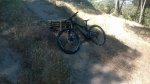 WP_20140601_001.jpg