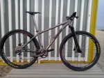 Lynskey1.jpg