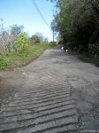 Waipio-Valley-Road-1.jpg