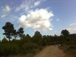 Imagen2983.jpg