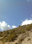 Imagen2993.jpg
