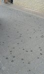 IMG-20140515-WA0015.jpg