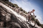ToC14Dixona-KOMinsideturn.jpg