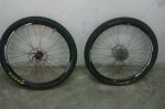 IMAG0621.jpg
