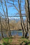 DSC_1452.JPG